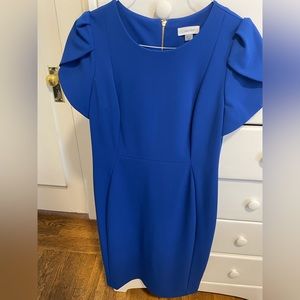 NWOT Calvin Klein Dress